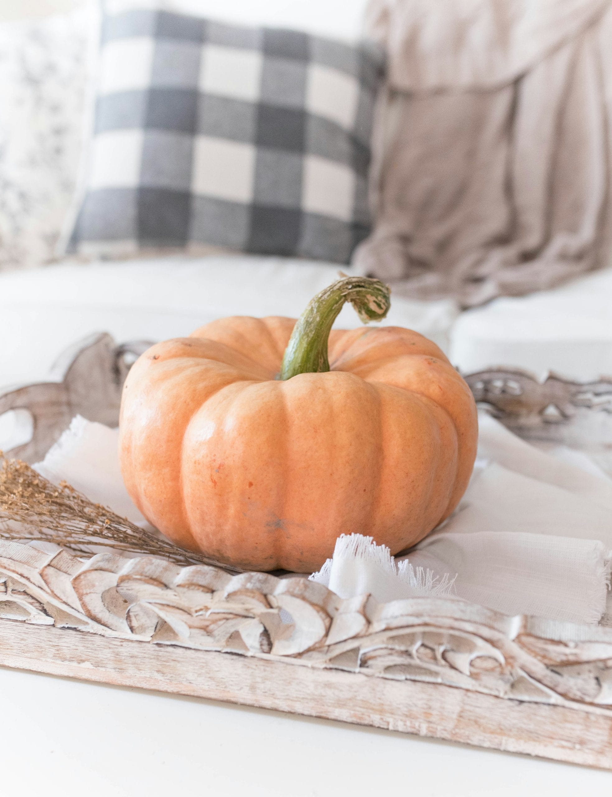 Ways to Make Your House Cozy for Fall Showings